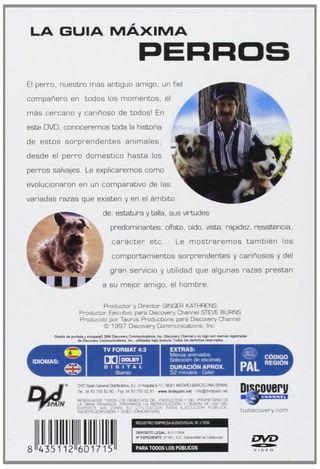 LA GUIA MAXIMA: PERROS NUESTROS FIELES COMPAÑEROS