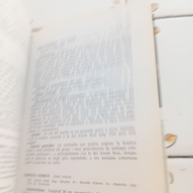 Guia de campo parque nacional de Doñana