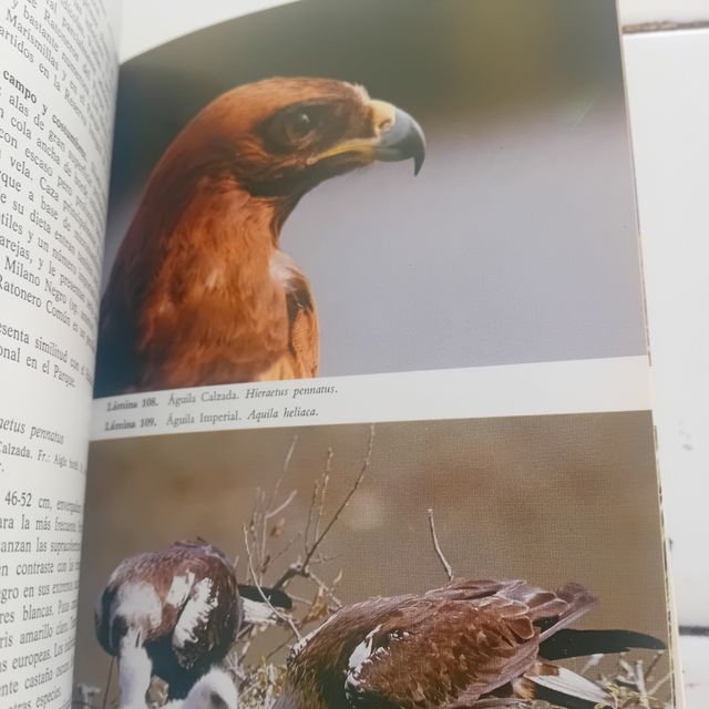 Guia de campo parque nacional de Doñana