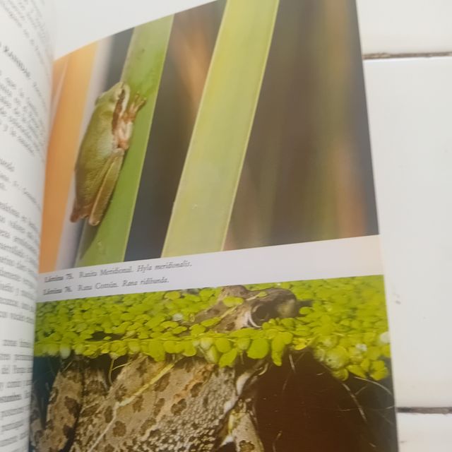 Guia de campo parque nacional de Doñana