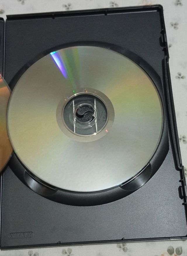 Náufrago (Cast Away) DVD