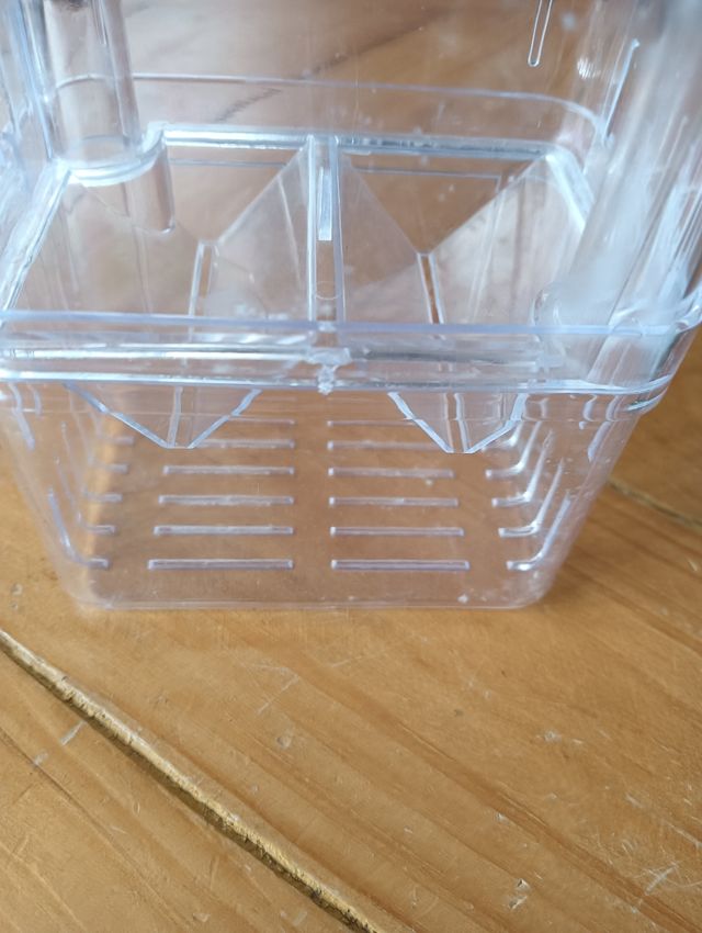 Paridera peces acuario