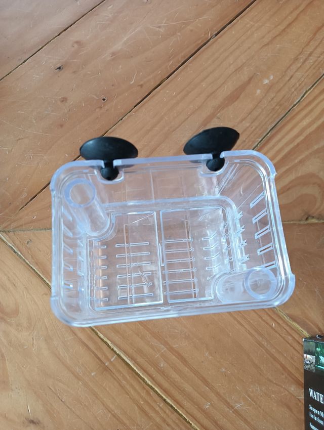 Paridera peces acuario