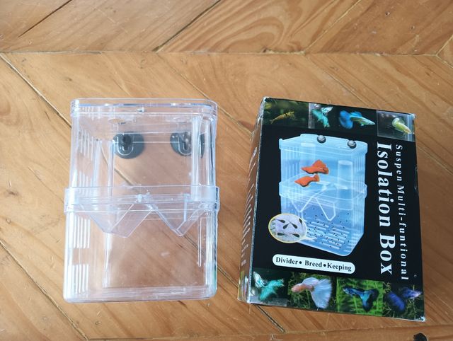 Paridera peces acuario