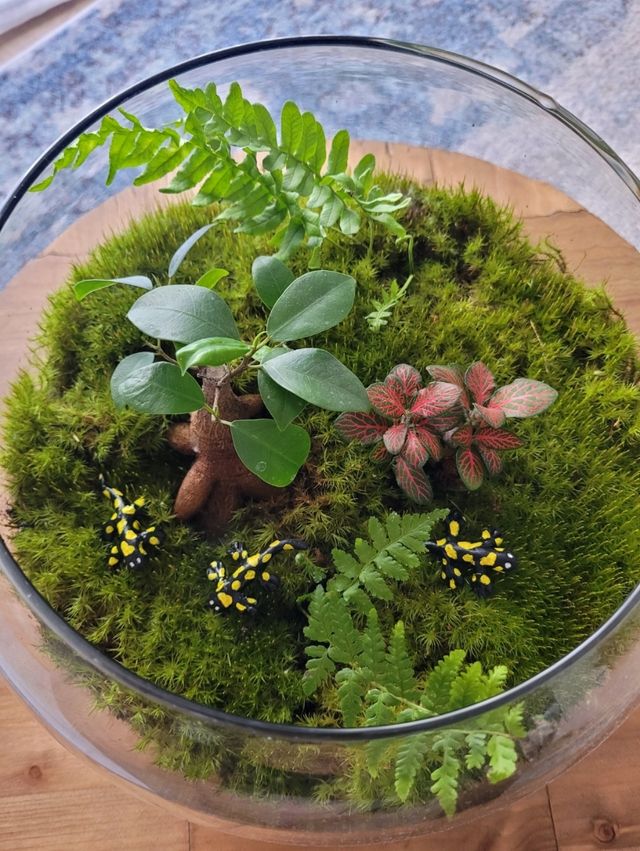 Terrario esfera de cristal con plantas