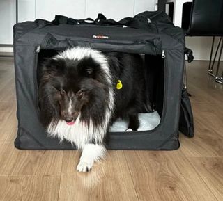 Transportín Perro Feandrea