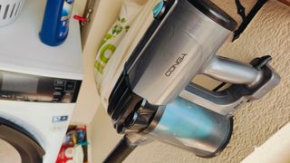 Conga Thunderbrush 600w Aspirador