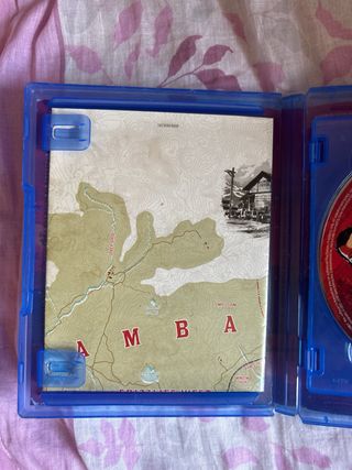 Red Dead Redemption II - PS4