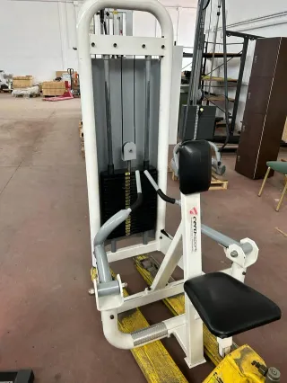 MÁQUINA DE REMO DORIAN UNILATERAL DE PLACAS