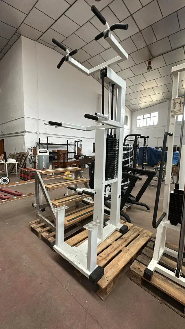 Máquina dominadas y fondos asistidos Gerva Sport