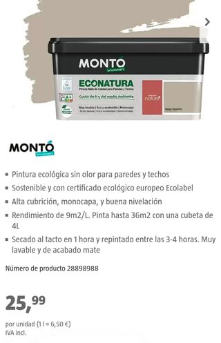 Pintura nueva Montó 