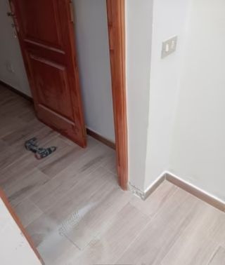 Reformas económicas: Albañil