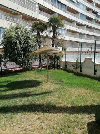 Sombrillas paja - Jardín