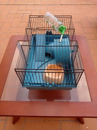 Jaula hamster azul - Negra