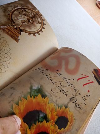 Más allá de Osho, Ideas, enseñanzas.