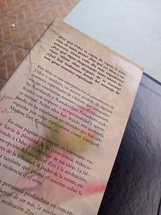 Más allá de Osho, Ideas, enseñanzas.