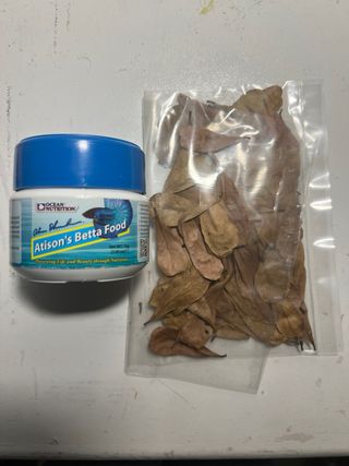 Pecera 10L kit completo