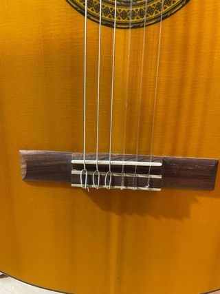 Guitarra Walden Natura N550E