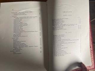 LA SEU NOVA DE LLEIDA CESAR MARTINELL 1926