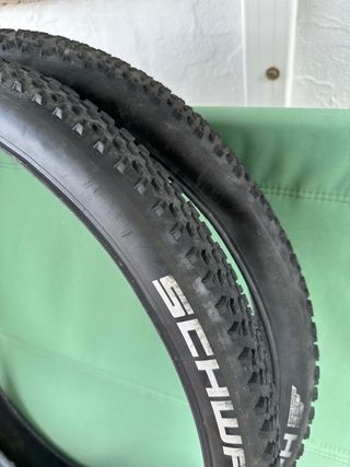 Cubiertas Schwalbe Racing Ralph y Racing Ray 29