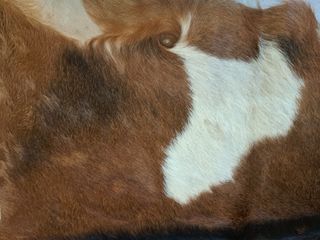 2 Alfombras piel cabra marrón-blanca 40€ una.