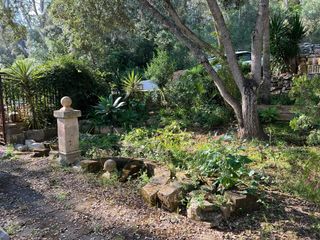 Limpieza y mantenimiento de jardin