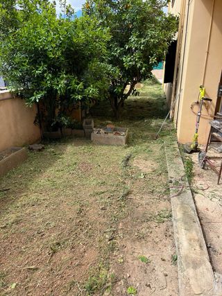 Limpieza y mantenimiento de jardin