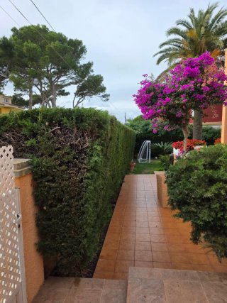Limpieza y mantenimiento de jardin