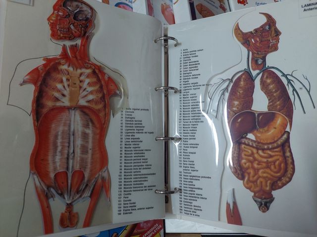 VHS erase una vez La Vida