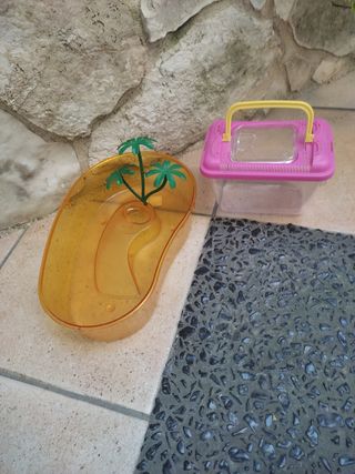 Vaschette pesciolini