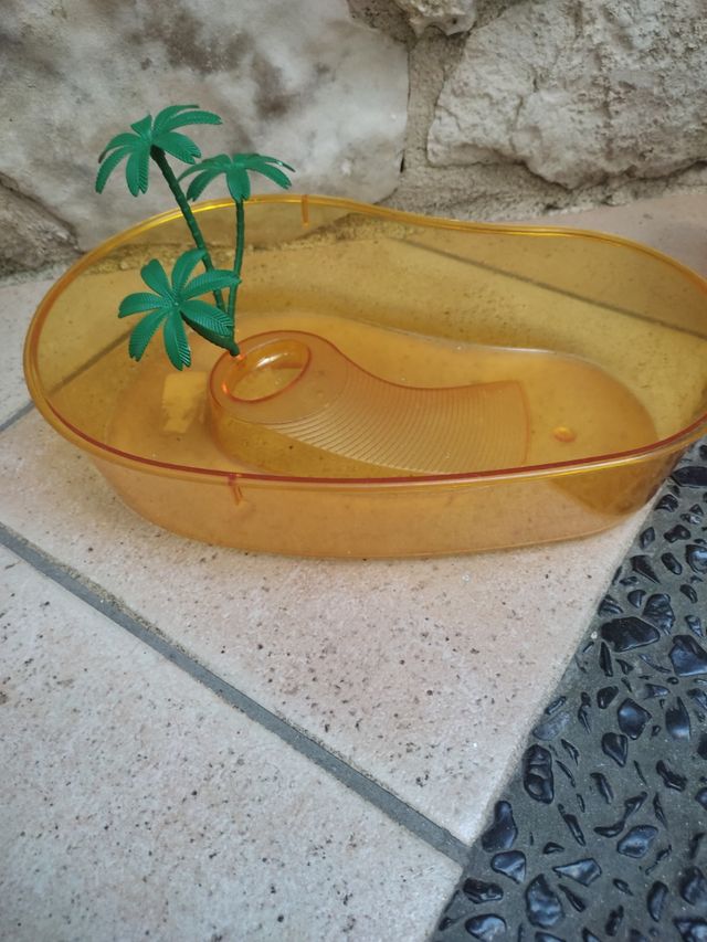 Vaschette pesciolini 