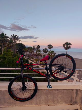 Bicicleta Stunt - MTB