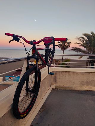 Bicicleta Stunt - MTB