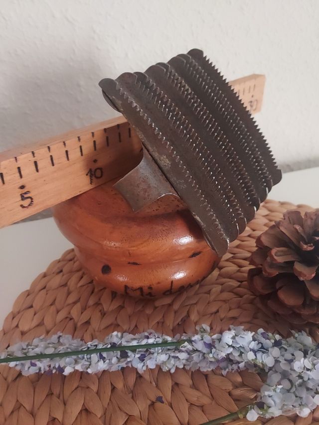 Spazzola di cavalleria antica