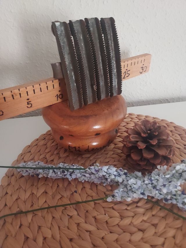 Spazzola di cavalleria antica