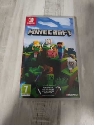 Minecraft Nintendo Switch