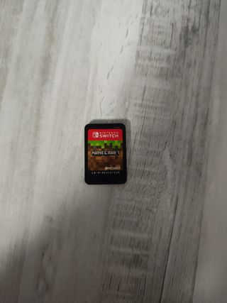 Minecraft Nintendo Switch