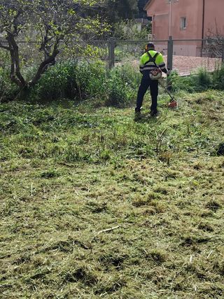 Jardinero profesional 632472573
