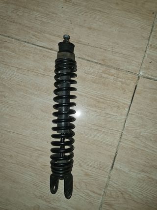 Muelle Piaggio Zip agua