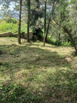 Jardinero profesional 632472573