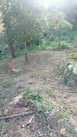 Jardinero profesional 632472573