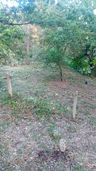 Jardinero profesional 632472573