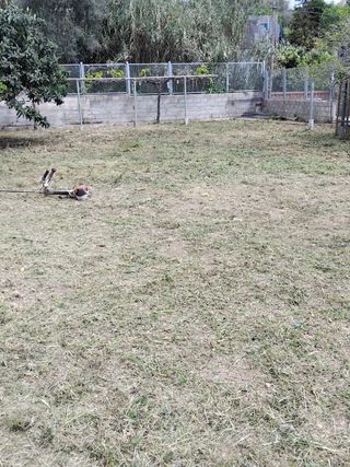 Jardinero profesional 632472573