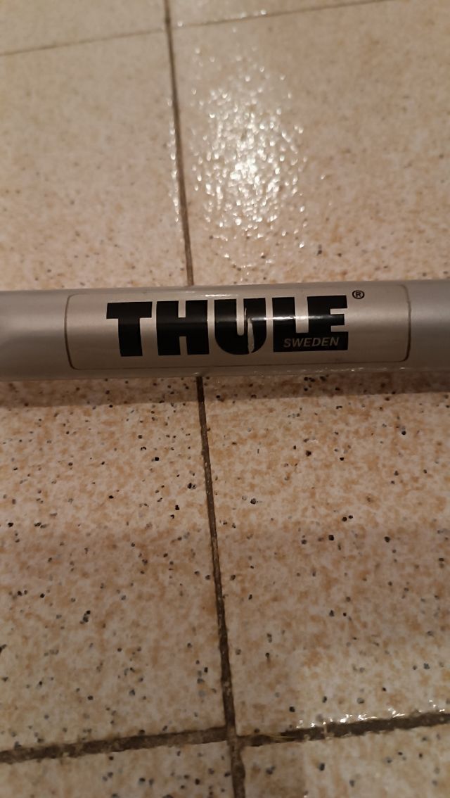 Portabici Thule 9103