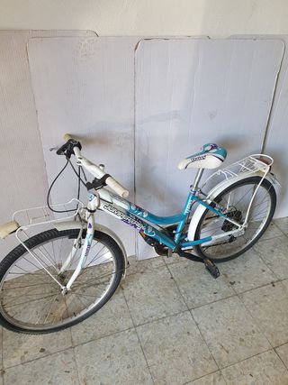 Bici de paseo