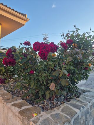 Chalet Megatin - Precioso