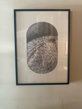 10 Quadri fotografici - Bianco e nero2