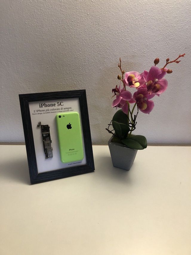 iPhone 5C Green A1532 Disassemblato e Incorniciato