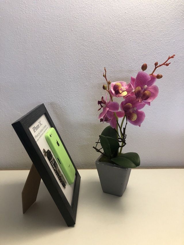 iPhone 5C Green A1532 Disassemblato e Incorniciato