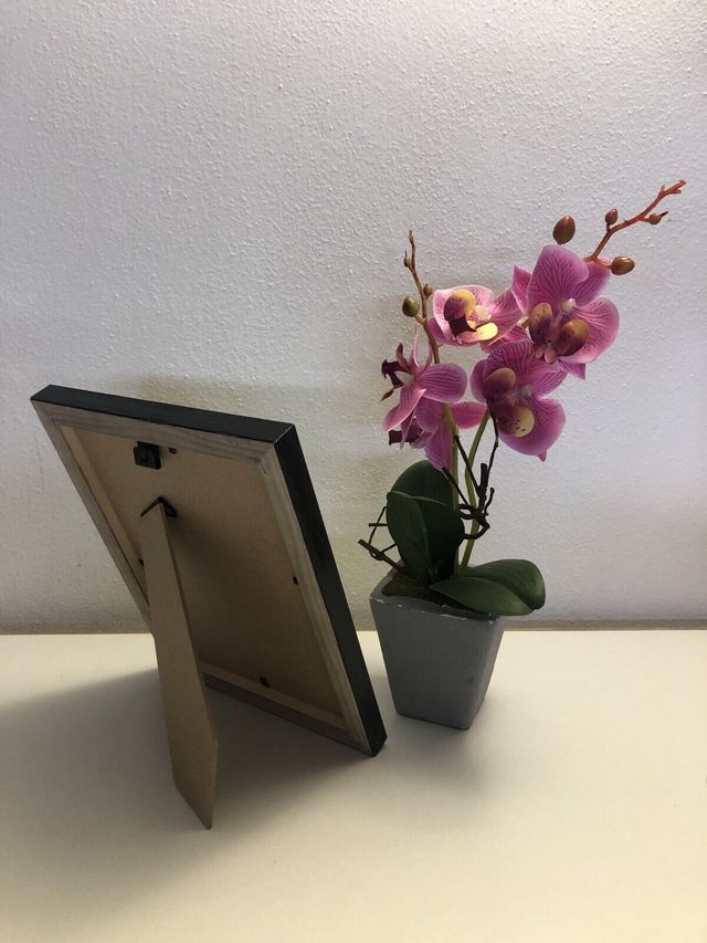 iPhone 5C Green A1532 Disassemblato e Incorniciato